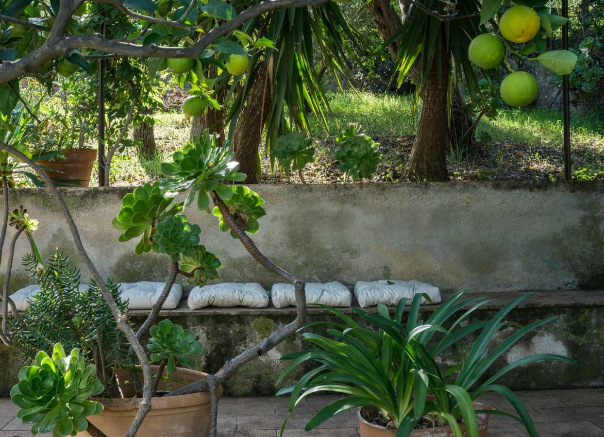 Villa Santa Lucia เชฟาลู ภายนอก รูปภาพ